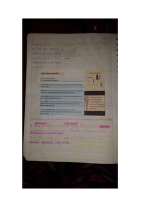 Potafolio Veronia Yunga