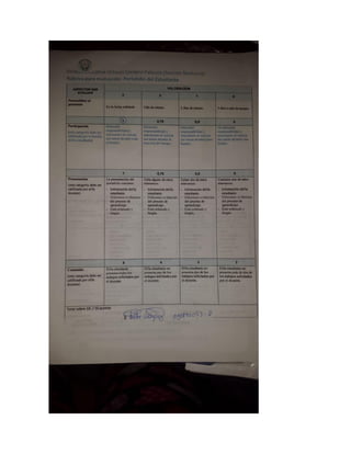 Potafolio Veronia Yunga