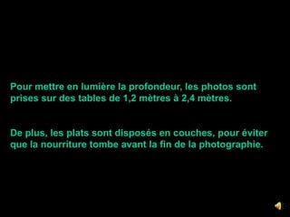 Pour mettre en lumière la profondeur, les photos sont prises sur des tables de 1,2 mètres à 2,4 mètres.De plus, les plats sont disposés en couches, pour éviter que la nourriture tombe avant la fin de la photographie.