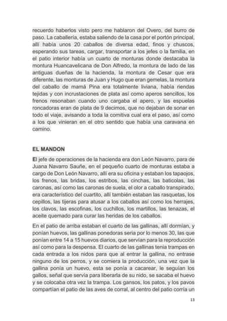 13
recuerdo haberlos visto pero me hablaron del Overo, del burro de
paso. La caballería, estaba saliendo de la casa por el portón principal,
allí había unos 20 caballos de diversa edad, finos y chuscos,
esperando sus tareas, cargar, transportar a los jefes o la familia, en
el patio interior había un cuarto de monturas donde destacaba la
montura Huancavelicana de Don Alfredo, la montura de lado de las
antiguas dueñas de la hacienda, la montura de Cesar que era
diferente, las monturas de Juan y Hugo que eran gemelas, la montura
del caballo de mamá Pina era totalmente liviana, había riendas
tejidas y con incrustaciones de plata así como aperos sencillos, los
frenos resonaban cuando uno cargaba el apero, y las espuelas
roncadoras eran de plata de 9 decimos, que no dejaban de sonar en
todo el viaje, avisando a toda la comitiva cual era el paso, así como
a los que vinieran en el otro sentido que había una caravana en
camino.
EL MANDON
El jefe de operaciones de la hacienda era don León Navarro, para de
Juana Navarro Sauñe, en el pequeño cuarto de monturas estaba a
cargo de Don León Navarro, allí era su oficina y estaban los tapaojos,
los frenos, las bridas, los estribos, las cinchas, las baticolas, las
caronas, así como las caronas de suela, el olor a caballo transpirado,
era característico del cuartito, allí también estaban las rasquetas, los
cepillos, las tijeras para atusar a los caballos así como los herrajes,
los clavos, las escofinas, los cuchillos, los martillos, las tenazas, el
aceite quemado para curar las heridas de los caballos.
En el patio de arriba estaban el cuarto de las gallinas, allí dormían, y
ponían huevos, las gallinas ponedoras seria por lo menos 30, las que
ponían entre 14 a 15 huevos diarios, que servían para la reproducción
así como para la despensa. El cuarto de las gallinas tenia trampas en
cada entrada a los nidos para que al entrar la gallina, no entrase
ninguno de los perros, y se comiera la producción, una vez que la
gallina ponía un huevo, esta se ponía a cacarear, le seguían los
gallos, señal que servía para liberarla de su nido, se sacaba el huevo
y se colocaba otra vez la trampa. Los gansos, los patos, y los pavos
compartían el patio de las aves de corral, al centro del patio corría un
 