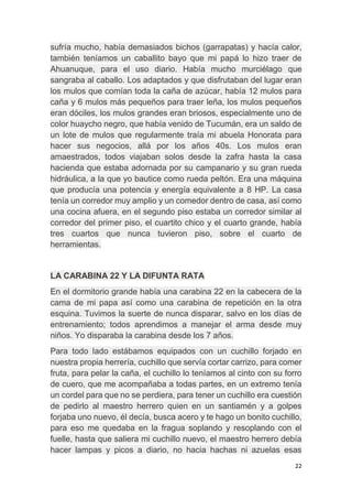 22
sufría mucho, había demasiados bichos (garrapatas) y hacía calor,
también teníamos un caballito bayo que mi papá lo hizo traer de
Ahuanuque, para el uso diario. Había mucho murciélago que
sangraba al caballo. Los adaptados y que disfrutaban del lugar eran
los mulos que comían toda la caña de azúcar, había 12 mulos para
caña y 6 mulos más pequeños para traer leña, los mulos pequeños
eran dóciles, los mulos grandes eran briosos, especialmente uno de
color huaycho negro, que había venido de Tucumán, era un saldo de
un lote de mulos que regularmente traía mi abuela Honorata para
hacer sus negocios, allá por los años 40s. Los mulos eran
amaestrados, todos viajaban solos desde la zafra hasta la casa
hacienda que estaba adornada por su campanario y su gran rueda
hidráulica, a la que yo bautice como rueda peltón. Era una máquina
que producía una potencia y energía equivalente a 8 HP. La casa
tenía un corredor muy amplio y un comedor dentro de casa, así como
una cocina afuera, en el segundo piso estaba un corredor similar al
corredor del primer piso, el cuartito chico y el cuarto grande, había
tres cuartos que nunca tuvieron piso, sobre el cuarto de
herramientas.
LA CARABINA 22 Y LA DIFUNTA RATA
En el dormitorio grande había una carabina 22 en la cabecera de la
cama de mi papa así como una carabina de repetición en la otra
esquina. Tuvimos la suerte de nunca disparar, salvo en los días de
entrenamiento; todos aprendimos a manejar el arma desde muy
niños. Yo disparaba la carabina desde los 7 años.
Para todo lado estábamos equipados con un cuchillo forjado en
nuestra propia herrería, cuchillo que servía cortar carrizo, para comer
fruta, para pelar la caña, el cuchillo lo teníamos al cinto con su forro
de cuero, que me acompañaba a todas partes, en un extremo tenía
un cordel para que no se perdiera, para tener un cuchillo era cuestión
de pedirlo al maestro herrero quien en un santiamén y a golpes
forjaba uno nuevo, él decía, busca acero y te hago un bonito cuchillo,
para eso me quedaba en la fragua soplando y resoplando con el
fuelle, hasta que saliera mi cuchillo nuevo, el maestro herrero debía
hacer lampas y picos a diario, no hacia hachas ni azuelas esas
 