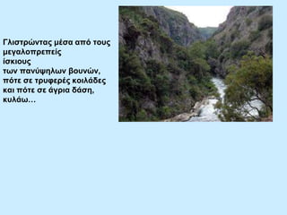 Γιηζηξώληαο κέζα από ηνπο
κεγαινπξεπείο
ίζθηνπο
ησλ παλύςεισλ βνπλώλ,
πόηε ζε ηξπθεξέο θνηιάδεο
θαη πόηε ζε άγξηα δάζε,
θπιάσ…

 