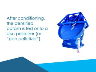 After conditioning,
the densified
potash is fed onto a
disc pelletizer (or
“pan pelletizer”).
 