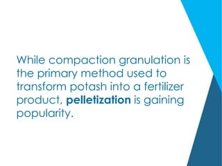 While compaction granulation is
the primary method used to
transform potash into a fertilizer
product, pelletization is gaining
popularity.
 