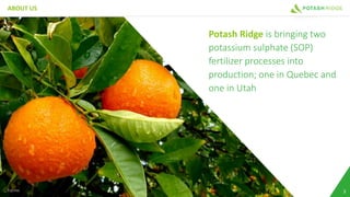 ABOUT US
3TSX:PRK
Potash Ridge is bringing two
potassium sulphate (SOP)
fertilizer processes into
production; one in Quebec and
one in Utah
 