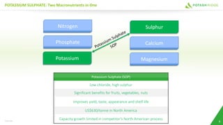 Potassium Sulphate (SOP)
Low chloride, high sulphur
Significant benefits for fruits, vegetables, nuts
Improves yield, taste, appearance and shelf life
US$630/tonne in North America
Capacity growth limited in competitor’s North American process
POTASSIUM SULPHATE: Two Macronutrients in One
ALUNITE
CRUSHING & GRINDING
CALCINATION
WATER LEACH
SO2 ACID PLANT SUPHURIC ACID
TSX:PRK
Nitrogen
Phosphate
Potassium Magnesium
Calcium
Sulphur
6
 