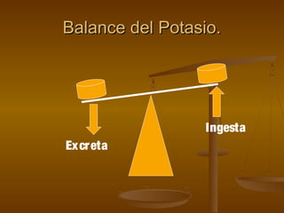Balance del Potasio.Balance del Potasio.
Excreta
Ingesta
 