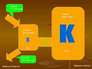 Líquido
Intracelular
Líquido
Extracelula
r
2%
98%
Ingesta
70-120meq/l
Excreta
70-120meq/l
Balance Externo. Balance Interno.
 