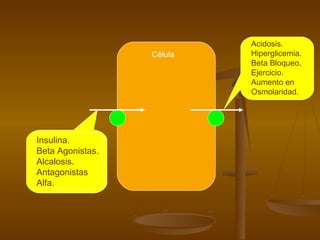 Célula
Insulina.
Beta Agonistas.
Alcalosis.
Antagonistas
Alfa.
Acidosis.
Hiperglicemia.
Beta Bloqueo.
Ejercicio.
Aumento en
Osmolaridad.
 