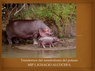 Transtornos del metabolismo del potasio
MIP J. IGNACIO ALCOCER S.
 