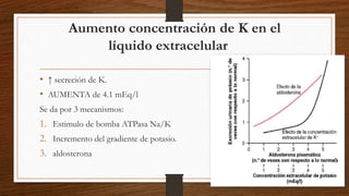 Aumento concentración de K en el
líquido extracelular
• ↑ secreción de K.
• AUMENTA de 4.1 mEq/l
Se da por 3 mecanismos:
1. Estimulo de bomba ATPasa Na/K
2. Incremento del gradiente de potasio.
3. aldosterona
 