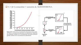  A > [k+] extracelular > secreción de ALDOSTERONA.
 