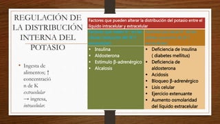 REGULACIÓN DE
LA DISTRIBUCIÓN
INTERNA DEL
POTASIO
• Ingesta de
alimentos; ↑
concentració
n de K
extracelular
→ ingresa,
intracelular.
Factores que pueden alterar la distribución del potasio entre el
líquido intracelular y extracelular
Factores que meten K+ en las
células (reducción del [K+]
extracelular)
Factores que sacan K+ de las
células (aumento de [K+]
extracelular)
 Insulina
 Aldosterona
 Estímulo β-adrenérgico
 Alcalosis
 Deficiencia de insulina
( diabetes mellitus)
 Deficiencia de
aldosterona
 Acidosis
 Bloqueo β-adrenérgico
 Lisis celular
 Ejercicio extenuante
 Aumento osmolaridad
del líquido extracelular
 