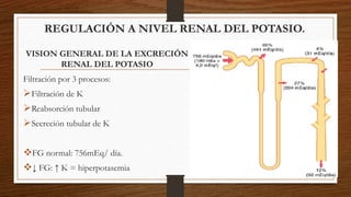 REGULACIÓN A NIVEL RENAL DEL POTASIO.
VISION GENERAL DE LA EXCRECIÓN
RENAL DEL POTASIO
Filtración por 3 procesos:
Filtración de K
Reabsorción tubular
Secreción tubular de K
FG normal: 756mEq/ día.
↓ FG: ↑ K = hiperpotasemia
 