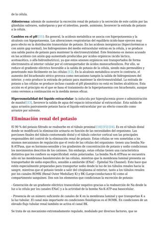 de la célula.
Aldosterona: además de aumentar la excreción renal de potasio y la secreción de este catión por las
glándulas salivares, sudoríparas y por el intestino, puede, asimismo, favorecer la entrada de potasio
a la célula.
Cambios en el pH [11]: En general, la acidosis metabólica se asocia con hiperpotasemia y la
alcalosis con hipopotasemia. Las alteraciones respiratorias del equilibrio ácido-base ejercen muy
poco efecto en la distribución transcelular de potasio. En las acidosis inorgánicas (hiperclorémicas o
con anión gap normal), los hidrogeniones del medio extracelular entran en la célula, y se produce
una salida pasiva de potasio para mantener la electroneutralidad. Este fenómeno es menos acusado
en las acidosis con anión gap aumentado producidas por ácidos orgánicos (ácido láctico,
acetoacético, o alfa-hidroxibutírico), ya que estos aniones orgánicos son transportados de forma
electroneutra al interior celular por el cotransportador de ácidos monocarboxílicos. Por ello, se
reduce el gradiente eléctrico favorable a la salida de potasio de la célula, siendo más permeables y
penetrando más fácilmente en las células [12]. En la alcalosis metabólica ocurre lo contrario, el
aumento del bicarbonato sérico provoca como mecanismo tampón la salida de hidrogeniones del
interior, y esto produce la entrada de potasio para mantener la electroneutralidad. La entrada de
potasio a las células se produce incluso cuando el pH plasmático no está en límites alcalóticos. Esta
acción es el principio en el que se basa el tratamiento de la hiperpotasemia con bicarbonato, aunque
como veremos a continuación es la medida menos eficaz.
Hiperosmolalidad del líquido extracelular: la inducida por hiperglucemia grave o administración
de manitol [13], favorece la salida de agua del espacio intracelular al extracelular. Esta salida de
agua arrastra pasivamente potasio hacia el líquido extracelular por un efecto conocido como
arrastre por solvente.
Eliminación renal del potasio
El 90 % del potasio filtrado se reabsorbe en el túbulo proximal [14] [15] [16]. Es en el túbulo distal
donde se modificará la eliminación urinaria en función de las necesidades del organismo. Las
porciones finales del túbulo contorneado distal y el túbulo colector cortical son las principales
responsables del control de la eliminación renal de potasio. Estas células se ven sometidas a los
mismos mecanismos de regulación que el resto de las células del organismo: tienen una bomba Na-
K-ATPasa, que es hormono-sensible y los gradientes de concentración de potasio y sodio condicionan
los movimientos descritos de los cationes. Sin embargo, estas células tienen una característica
distintiva que les confiere su especificidad: están polarizadas. La bomba Na-K-ATPasa se encuentra
sólo en las membranas basolaterales de las células, mientras que la membrana luminal presenta un
transportador de sodio específico, sensible a amiloride (ENaC - Epitelial Na Channel). Esto hace que
estén especialmente preparadas para transportar sodio desde la luz de los túbulos renales hacia la
sangre, mientras que el potasio tiende a salir del citoplasma al exterior, tanto a los túbulos renales
por los canales ROMK (Renal Outer Medullary K) y BK (Large-conductance K) como al
compartimento sanguíneo. Dos son los elementos que condicionan la excreción de potasio:
- Generación de un gradiente eléctrico transcelular negativo gracias a la reabsorción de Na desde la
luz a la célula por los canales ENaC y a la actividad de la bomba Na-K-ATP-asa basocelular.
- Presencia de un número suficiente de canales de K en la membrana luminal y que transportan K a
la luz tubular. El canal más importante en condiciones fisiológicas es el ROMK. En condiciones de un
elevado flujo tubular renal también se activa el canal BK.
Se trata de un mecanismo extremadamente regulado, modulado por diversos factores, que se
 