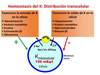 regulaciondelpotasiomediointerno2024nefrologia | PPTX
