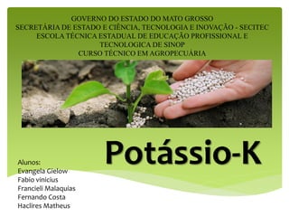 Potássio-K
GOVERNO DO ESTADO DO MATO GROSSO
SECRETÁRIA DE ESTADO E CIÊNCIA, TECNOLOGIA E INOVAÇÃO - SECITEC
ESCOLA TÉCNICA ESTADUAL DE EDUCAÇÃO PROFISSIONAL E
TECNOLOGICA DE SINOP
CURSO TÉCNICO EM AGROPECUÁRIA
Alunos:
Evangela Gielow
Fabio vinicius
Francieli Malaquias
Fernando Costa
Haclires Matheus
 