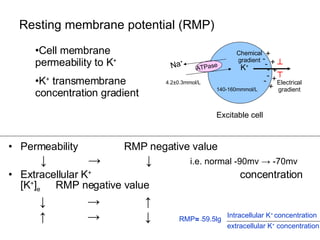 Permeability  RMP negative value ↓  ->  ↓  i.e. normal -90mv -> -70mv Extracellular K +  concentration   [K + ] e  RMP negative value  ↓  ->  ↑ ↑  ->  ↓   Electrical gradient Chemical gradient K + 140-160mmmol/L 4.2±0.3mmol/L Resting membrane potential (RMP) Excitable cell Cell membrane permeability to K + K +  transmembrane concentration gradient - - - - - + + + + + Na + ATPase RMP ≈ ﹣ 59.5lg Intracellular K +  concentration extracellular K +  concentration 