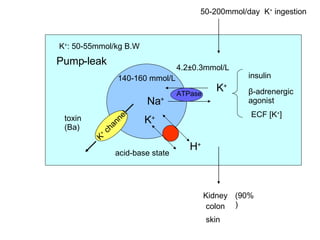 K + Na + ATPase K + H + K +  channel 140-160 mmol/L 4.2±0.3mmol/L 50-200mmol/day  K +  ingestion Kidney colon skin (90%) insulin β-adrenergic agonist ECF [K + ] K + : 50-55mmol/kg B.W toxin (Ba) acid-base state Pump-leak 