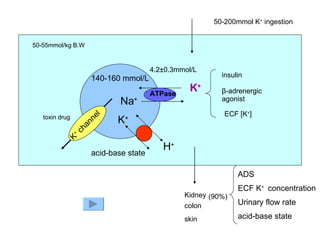 K + Na + ATPase K + H + K +  channel 140-160 mmol/L 4.2±0.3mmol/L 50-200mmol K +  ingestion Kidney colon skin (90%) insulin β-adrenergic agonist ECF [K + ] 50-55mmol/kg B.W ADS ECF K +  concentration Urinary flow rate acid-base state toxin drug acid-base state 