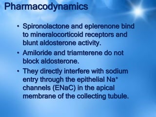 Pharmacodynamics
• Spironolactone and eplerenone bind
to mineralocorticoid receptors and
blunt aldosterone activity.
• Amiloride and triamterene do not
block aldosterone.
• They directly interfere with sodium
entry through the epithelial Na+
channels (ENaC) in the apical
membrane of the collecting tubule.
 