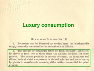 Luxury consumption

 