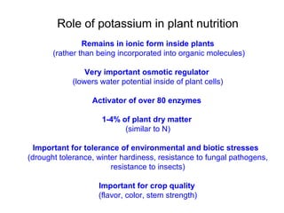 Role of potassium in plant nutrition
Remains in ionic form inside plants
(rather than being incorporated into organic molecules)
Very important osmotic regulator
(lowers water potential inside of plant cells)
Activator of over 80 enzymes
1-4% of plant dry matter
(similar to N)
Important for tolerance of environmental and biotic stresses
(drought tolerance, winter hardiness, resistance to fungal pathogens,
resistance to insects)
Important for crop quality
(flavor, color, stem strength)

 