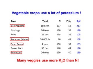 Vegetable crops use a lot of potassium !
Crop

Yield

N

P2O5

K2O

Bell Peppers

180 cwt

137

52

217

Cabbage

20 tons

130

35

130

Peas

25 cwt

164

35

105

30,000 lb

90

48

158

Snap Beans

4 tons

138

33

163

Sweet Corn

90 cwt

140

47

136

Tomatoes

20 tons

120

40

160

Potatoes (white)

Many veggies use more K2O than N!

 