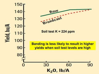 Soil test K = 224 ppm

Banding is less likely to result in higher
yields when soil test levels are high

 