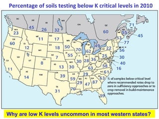Percentage of soils testing below K critical levels in 2010

Why are low K levels uncommon in most western states?

 