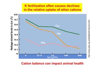 Does Cation Balance Matter?
The relative concentration of potassium, calcium, magnesium,
ammonium, and other positively charged ions in the soil solution
influences their relative uptake.
Excessively high concentrations of one cation often results in
inadequate uptake of other cations.
For example, very high concentrations of calcium reduce uptake
of potassium and very high concentrations of potassium reduce
magnesium uptake.

Cation balance can impact animal health

http://www.pda.org.uk/leaflets/6/no6-print.htm

K fertilization often causes declines
in the relative uptake of other cations

 