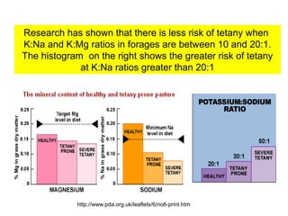 Research has shown that there is less risk of tetany when
K:Na and K:Mg ratios in forages are between 10 and 20:1.
The histogram on the right shows the greater risk of tetany
at K:Na ratios greater than 20:1

http://www.pda.org.uk/leaflets/6/no6-print.htm

 