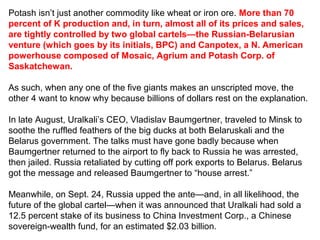 Potash isn’t just another commodity like wheat or iron ore. More than 70
percent of K production and, in turn, almost all of its prices and sales,
are tightly controlled by two global cartels—the Russian-Belarusian
venture (which goes by its initials, BPC) and Canpotex, a N. American
powerhouse composed of Mosaic, Agrium and Potash Corp. of
Saskatchewan.
As such, when any one of the five giants makes an unscripted move, the
other 4 want to know why because billions of dollars rest on the explanation.
In late August, Uralkali’s CEO, Vladislav Baumgertner, traveled to Minsk to
soothe the ruffled feathers of the big ducks at both Belaruskali and the
Belarus government. The talks must have gone badly because when
Baumgertner returned to the airport to fly back to Russia he was arrested,
then jailed. Russia retaliated by cutting off pork exports to Belarus. Belarus
got the message and released Baumgertner to “house arrest.”
Meanwhile, on Sept. 24, Russia upped the ante—and, in all likelihood, the
future of the global cartel—when it was announced that Uralkali had sold a
12.5 percent stake of its business to China Investment Corp., a Chinese
sovereign-wealth fund, for an estimated $2.03 billion.

 