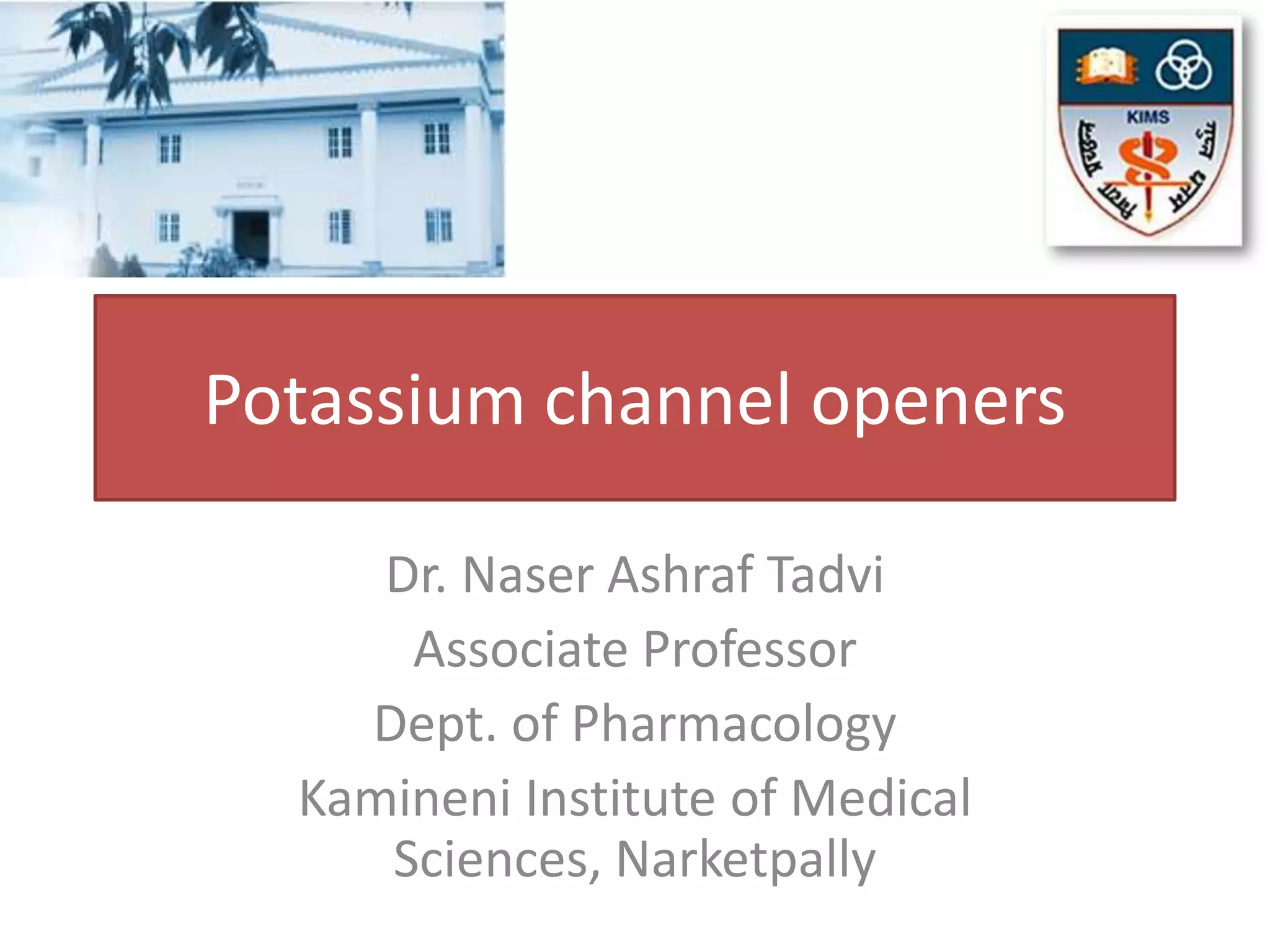 Potassium channel openers PPT