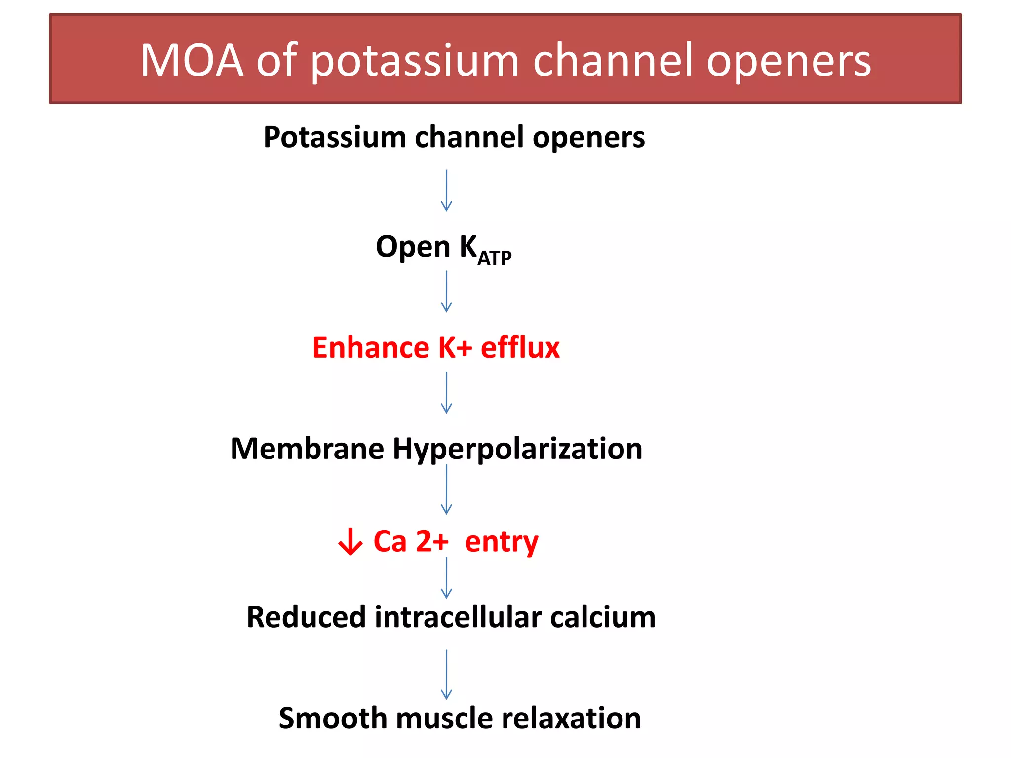 MOA of potassium channel openers
     Potassium channel openers


             Open KATP


        Enhance K+ efflux


   Membrane Hyperpolarization

          ↓ Ca 2+ entry

    Reduced intracellular calcium


      Smooth muscle relaxation
 