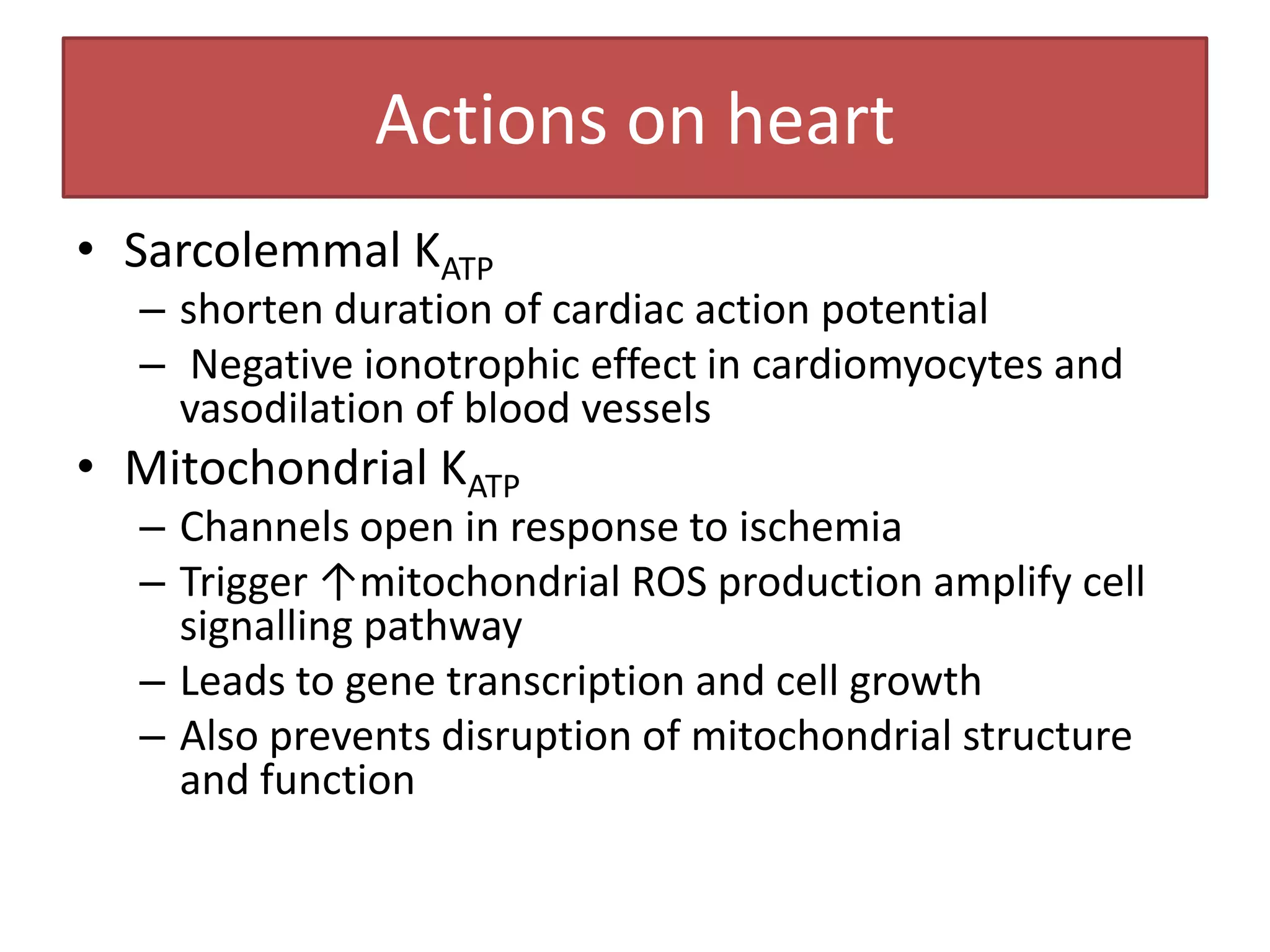 Actions on heart
• Sarcolemmal KATP
  – shorten duration of cardiac action potential
  – Negative ionotrophic effect in cardiomyocytes and
    vasodilation of blood vessels
• Mitochondrial KATP
  – Channels open in response to ischemia
  – Trigger ↑mitochondrial ROS production amplify cell
    signalling pathway
  – Leads to gene transcription and cell growth
  – Also prevents disruption of mitochondrial structure
    and function
 