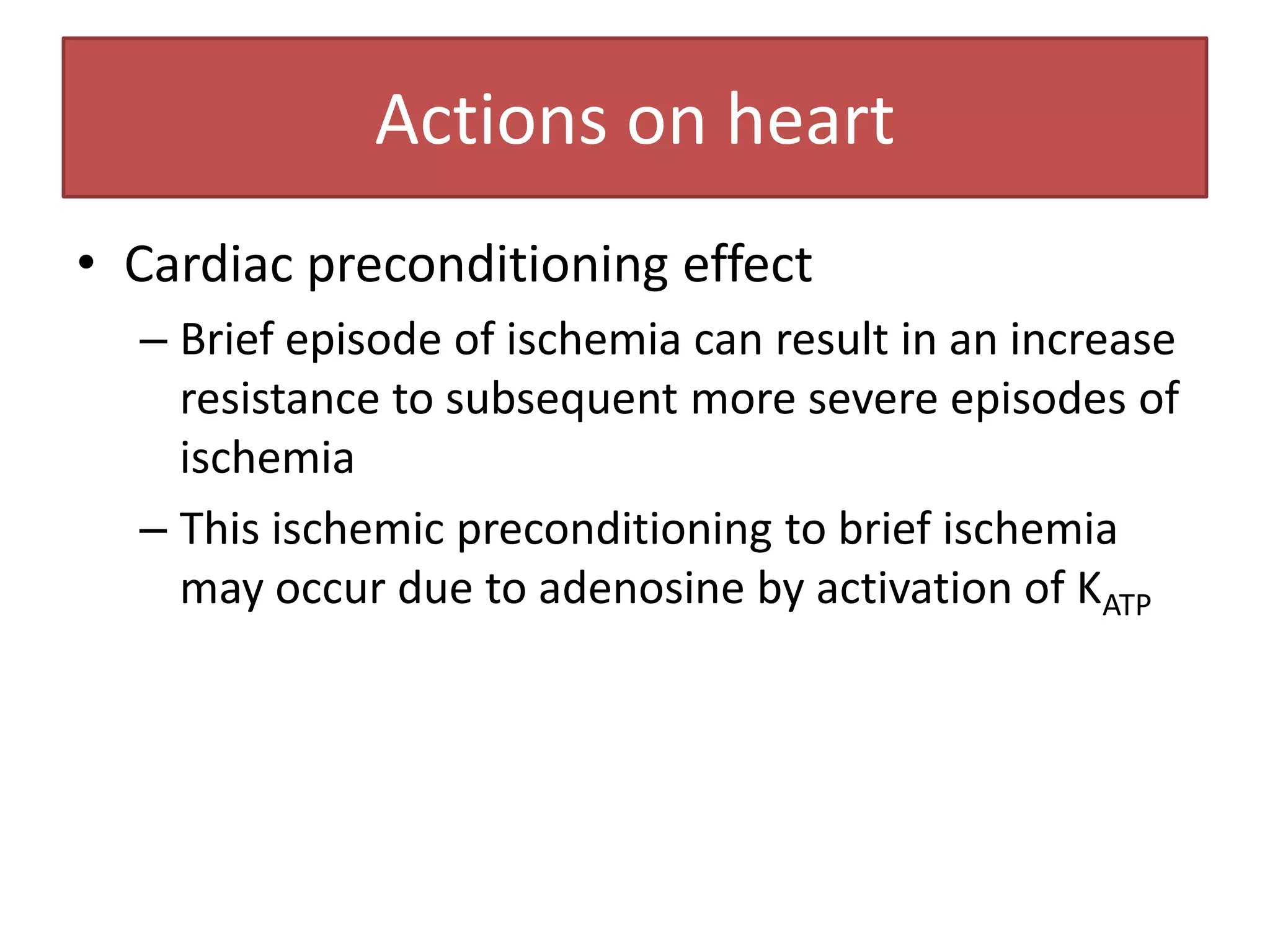 Actions on heart
• Cardiac preconditioning effect
  – Brief episode of ischemia can result in an increase
    resistance to subsequent more severe episodes of
    ischemia
  – This ischemic preconditioning to brief ischemia
    may occur due to adenosine by activation of KATP
 