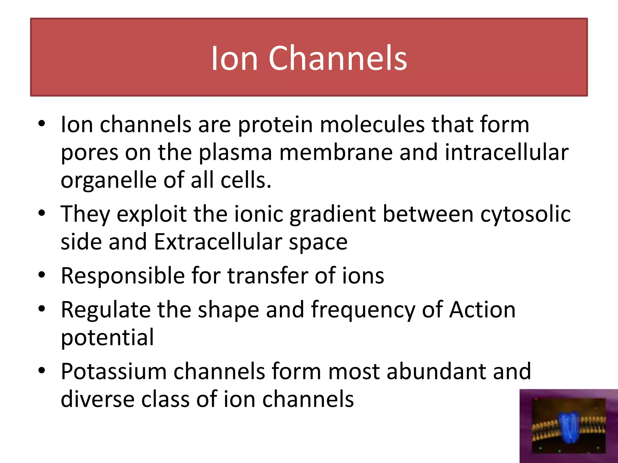 Ion Channels
• Ion channels are protein molecules that form
  pores on the plasma membrane and intracellular
  organelle of all cells.
• They exploit the ionic gradient between cytosolic
  side and Extracellular space
• Responsible for transfer of ions
• Regulate the shape and frequency of Action
  potential
• Potassium channels form most abundant and
  diverse class of ion channels
 