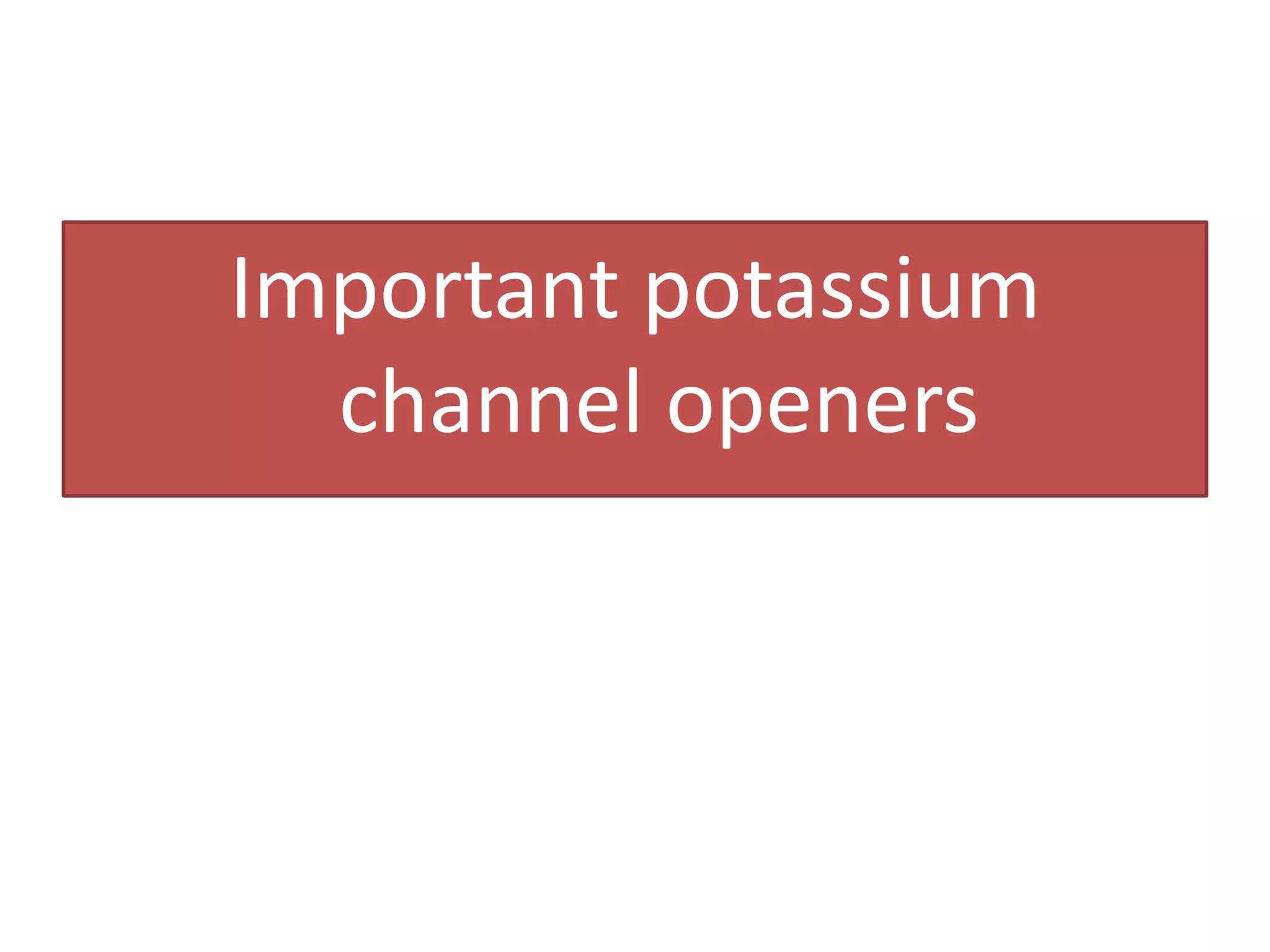 Important potassium
  channel openers
 