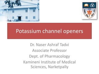 Potassium channel openers

     Dr. Naser Ashraf Tadvi
      Associate Professor
    Dept. of Pharmacology
  Kamineni Institute of Medical
     Sciences, Narketpally
 