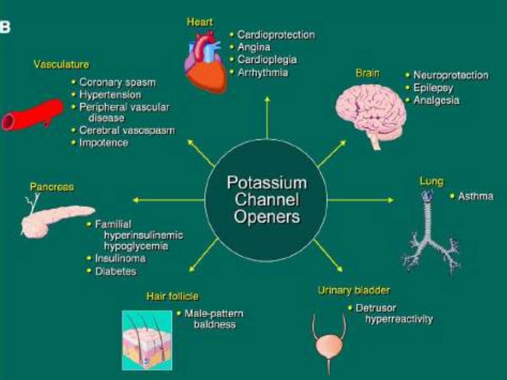Potassium channel openers