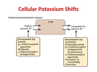 Cellular Potassium Shifts
 