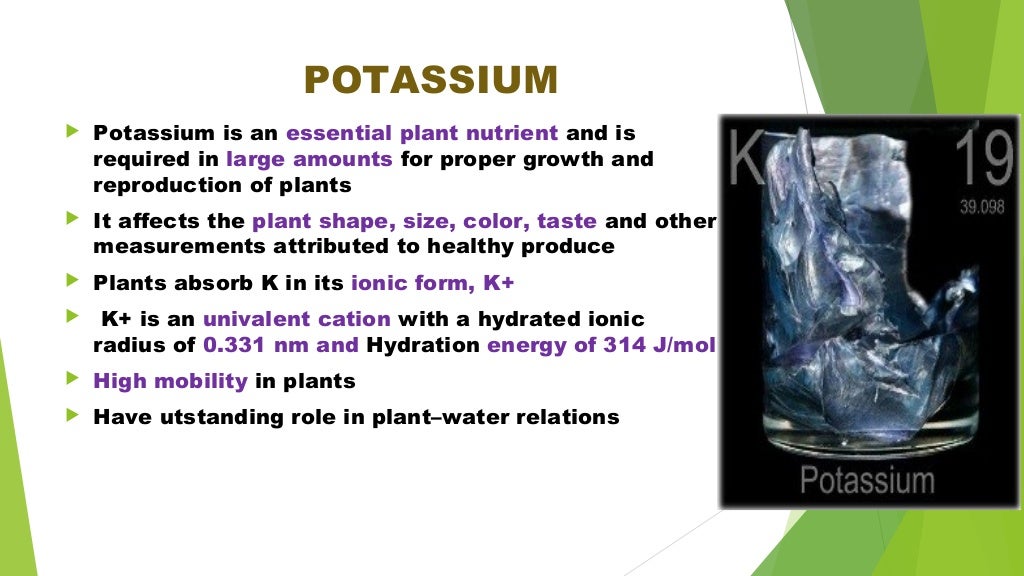 Potassium utilization and metabolism