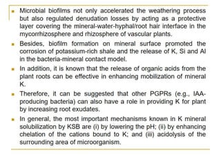 Potassium solubilization