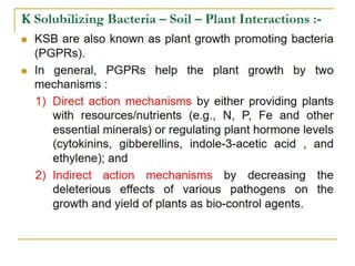 Potassium solubilization