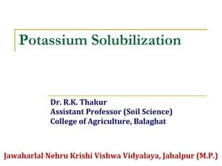Potassium solubilization
