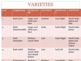 VARIETIES
S.N. VARIETIES CHARACTE
RS
MATURITY RESISTANC
E
ADOPTION
1 Kufri Jyoti Large, oval
white eyes
fieet
medium Late blight North India
plains and
hills
2 Kufri
chandramukhi
Large, oval
white eyes
fieet
Early Early blight North India
plains
3 Kufri
chamatkar
Medium
round white
Late Early blight North India
plains and
plateau
region
4 Kufri safed Medium
round white
Eyes deep$
picked
Late Leaf roll North India
plains
 