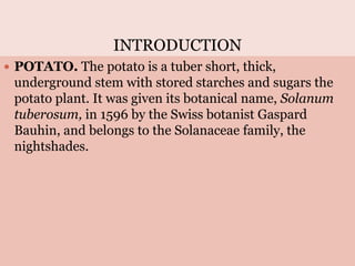 INTRODUCTION
 POTATO. The potato is a tuber short, thick,
underground stem with stored starches and sugars the
potato plant. It was given its botanical name, Solanum
tuberosum, in 1596 by the Swiss botanist Gaspard
Bauhin, and belongs to the Solanaceae family, the
nightshades.
 