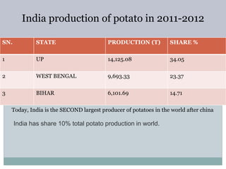 India production of potato in 2011-2012
SN. STATE PRODUCTION (T) SHARE %
1 UP 14,125.08 34.05
2 WEST BENGAL 9,693.33 23.37
3 BIHAR 6,101.69 14.71
Today, India is the SECOND largest producer of potatoes in the world after china
India has share 10% total potato production in world.
 