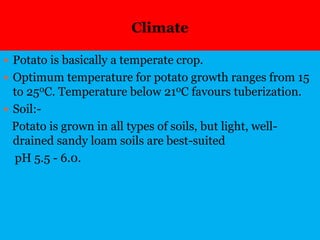 Climate
 Potato is basically a temperate crop.
 Optimum temperature for potato growth ranges from 15
to 250C. Temperature below 210C favours tuberization.
 Soil:-
Potato is grown in all types of soils, but light, well-
drained sandy loam soils are best-suited
pH 5.5 - 6.0.
 